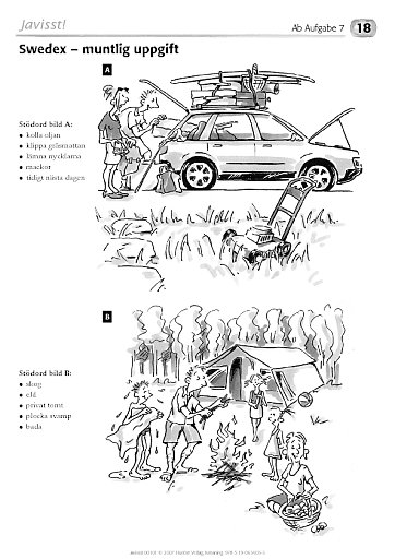 Swedex: Muntlig uppgift